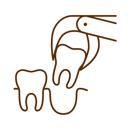 Tooth Extraction