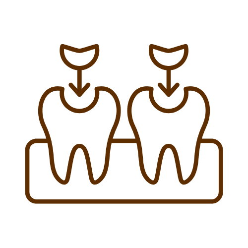 Dental Fillings